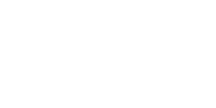 MTS Boya